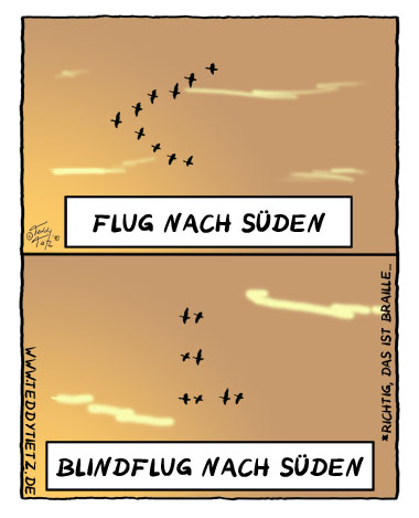 Teddy Tietz Cartoon der Kalenderwoche 46 - Flug nach Süden, und Blindflug nach Süden