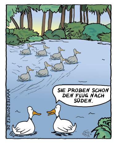 Teddy Tietz Cartoon der Kalenderwoche 40 - Trockenübung für Flug in den Süden